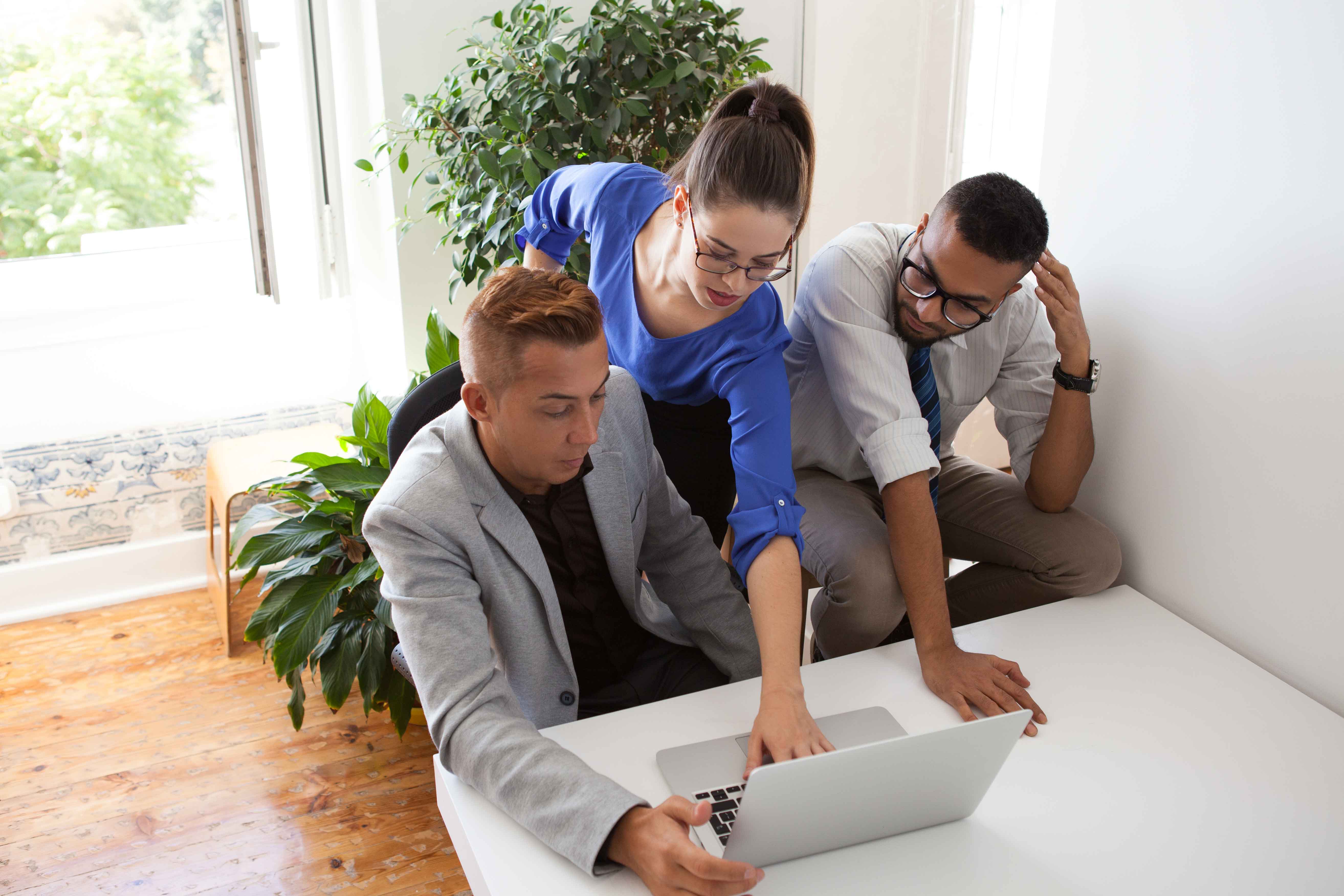 Professional Judgement and Decision Making in Auditing